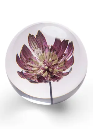 Pappersvikt Blume Purple