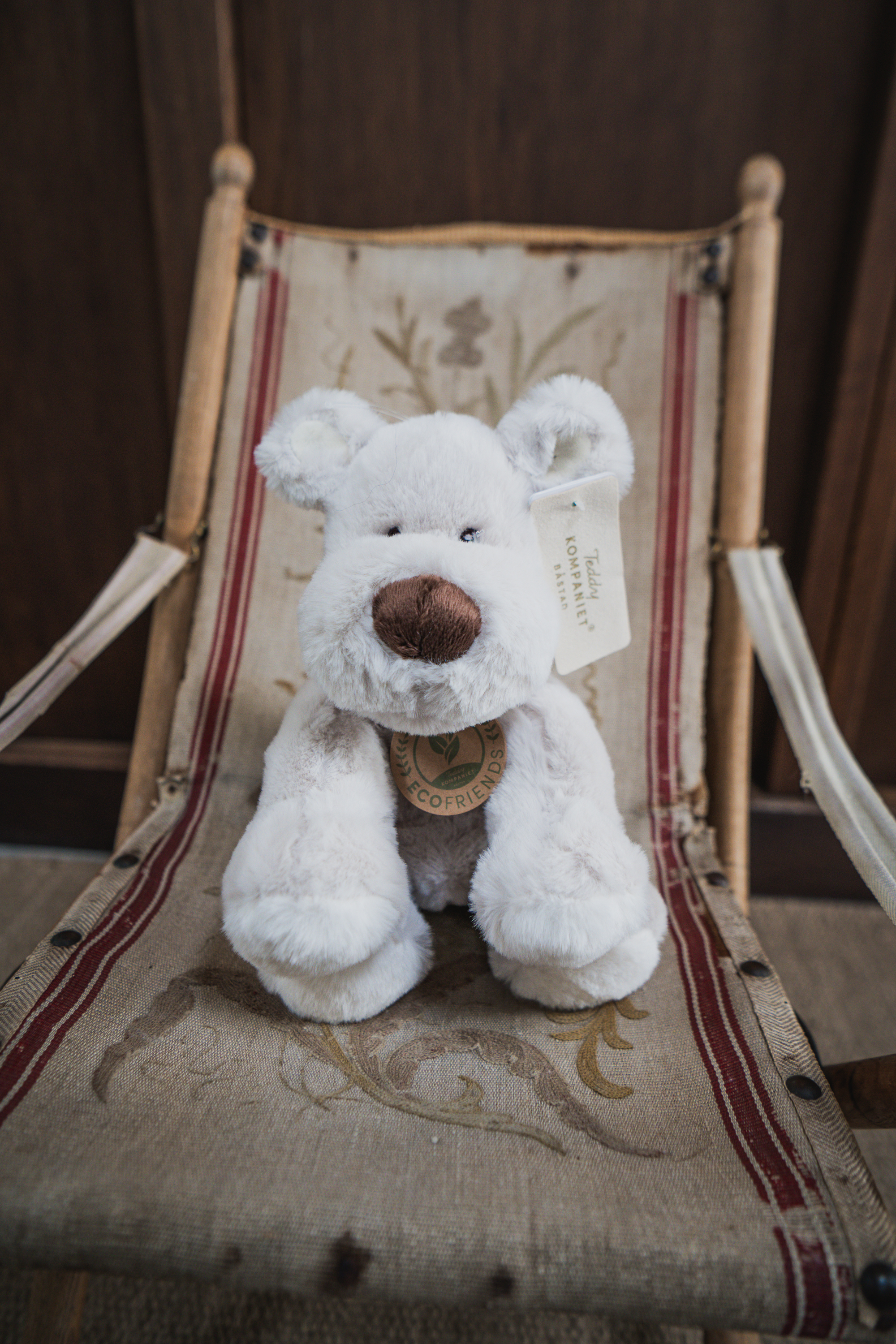 Hund Teddy Mocca liten grå