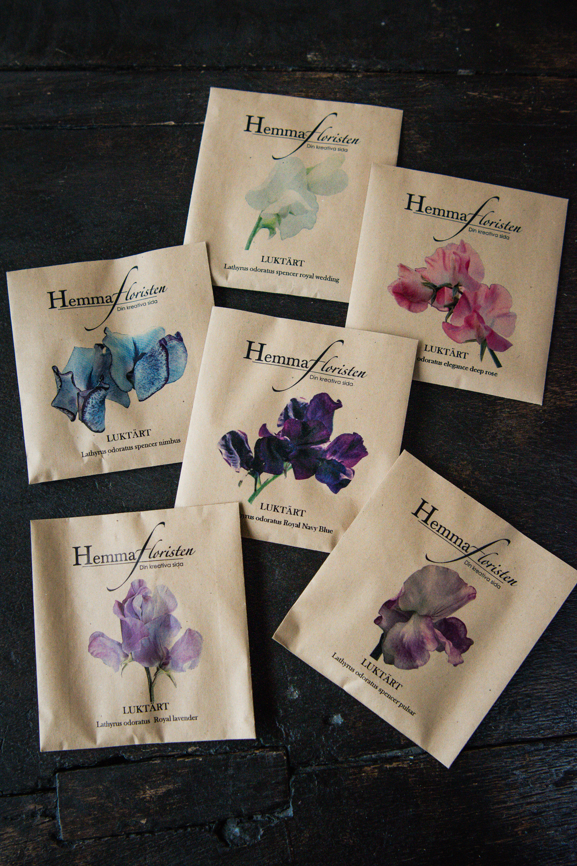 Fröbox Doftande Luktärt 1