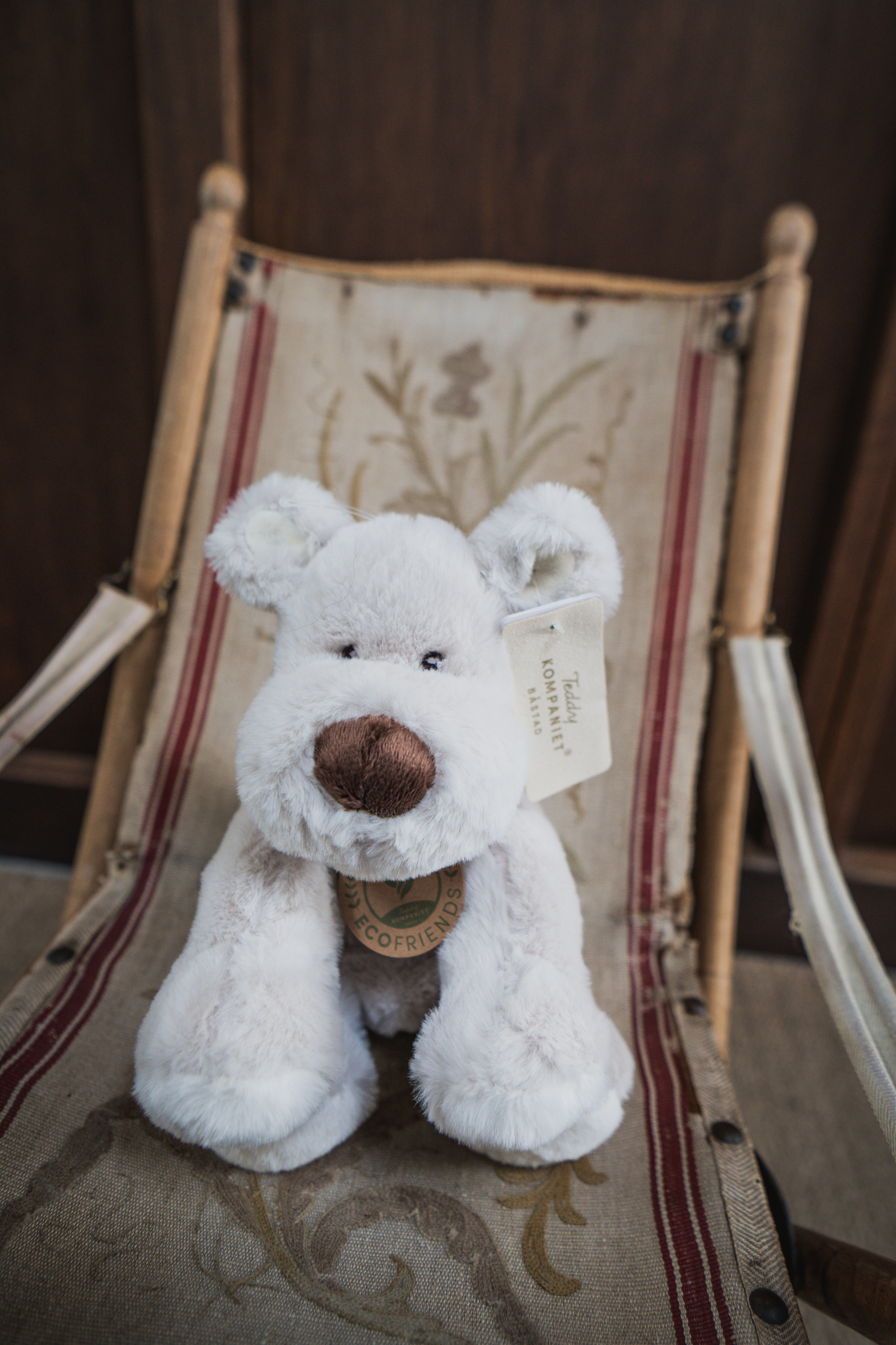 Hund Teddy Mocca liten grå 1