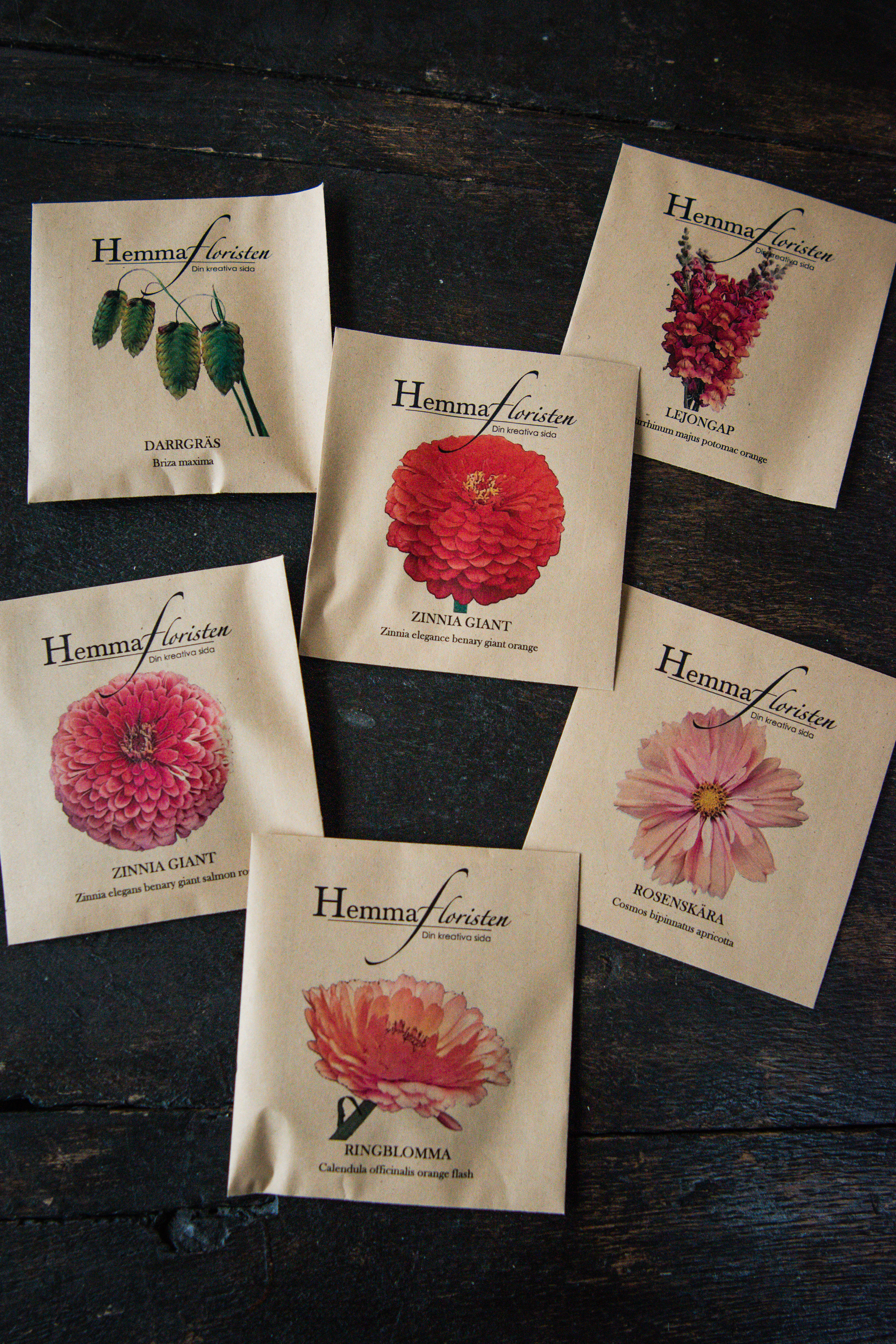 Fröbox Orange - Aprikos 1