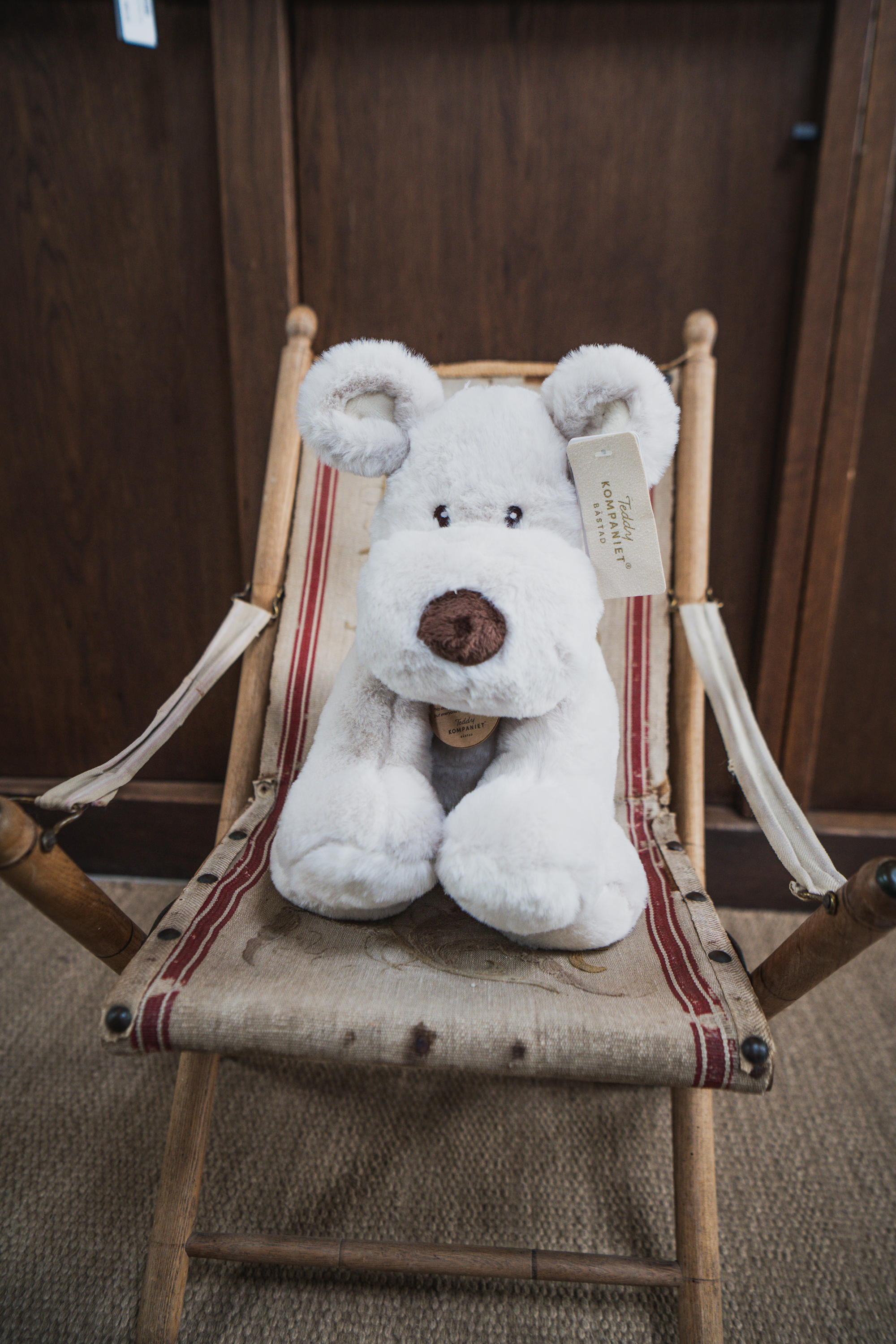 Hund Teddy Mocca stor grå