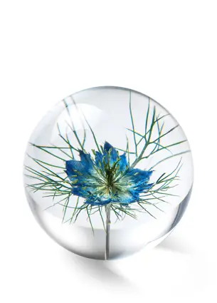 Pappersvikt Flor Blue