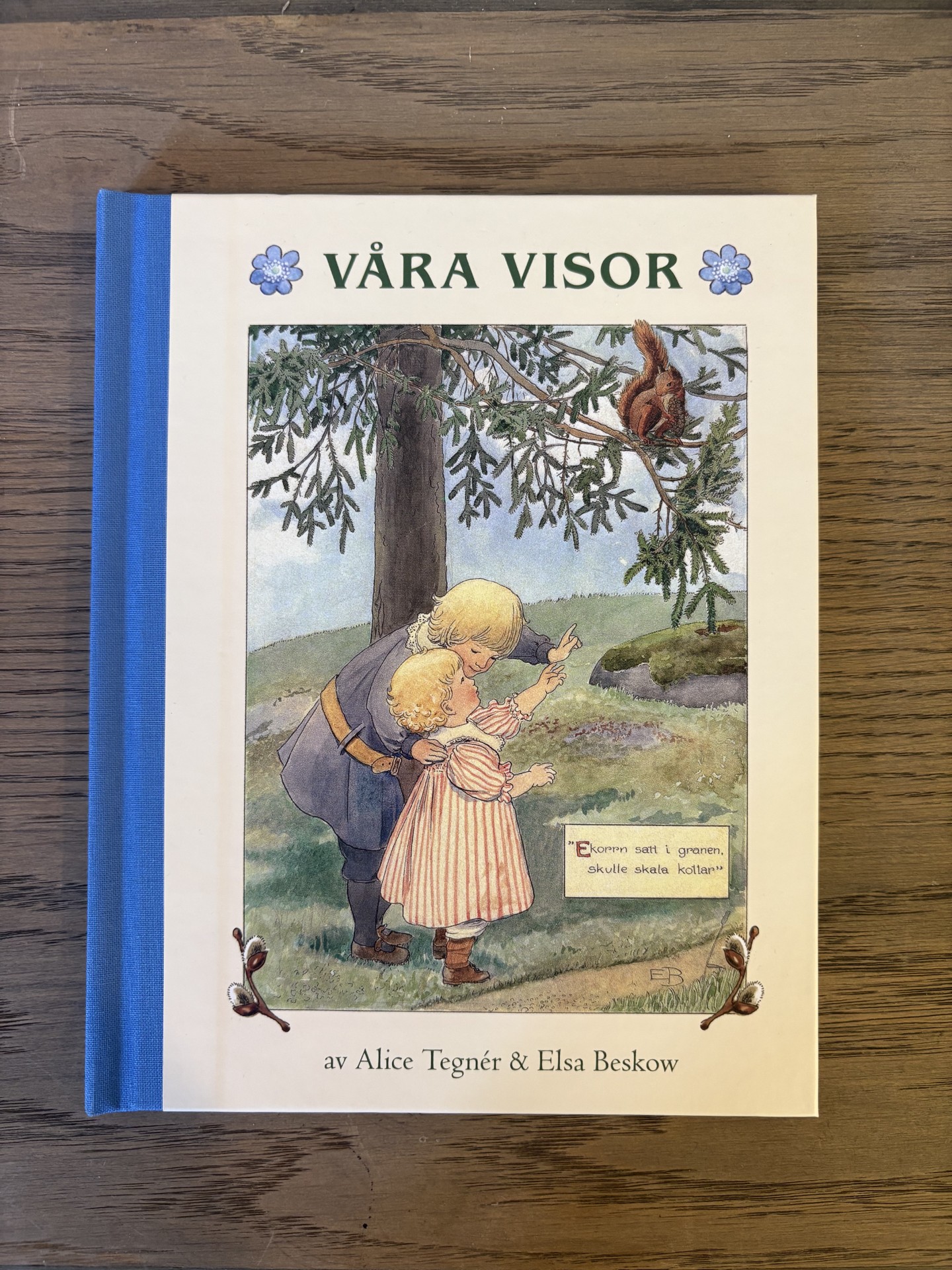 Våra visor