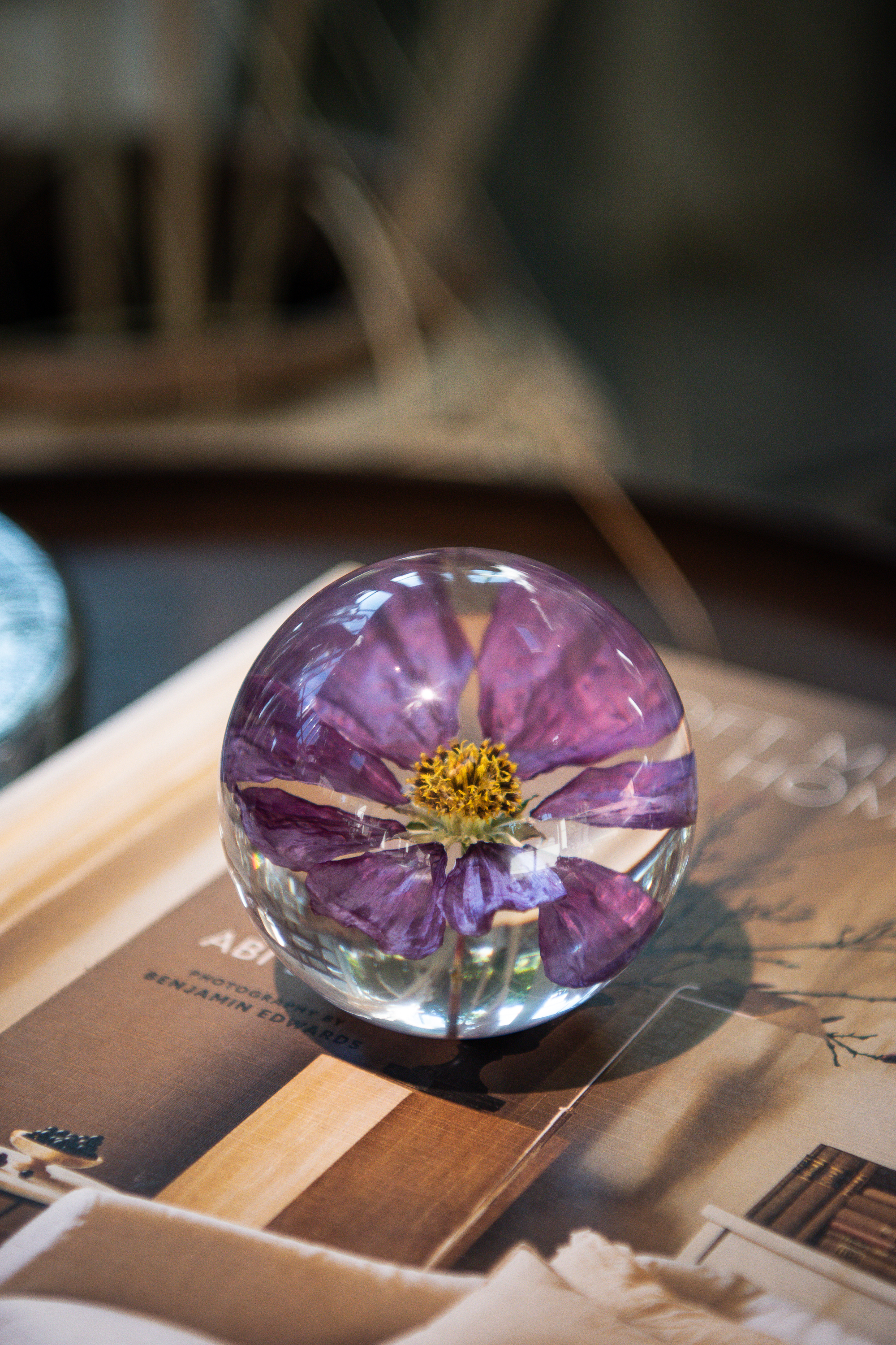 Pappersvikt Cosmos 1