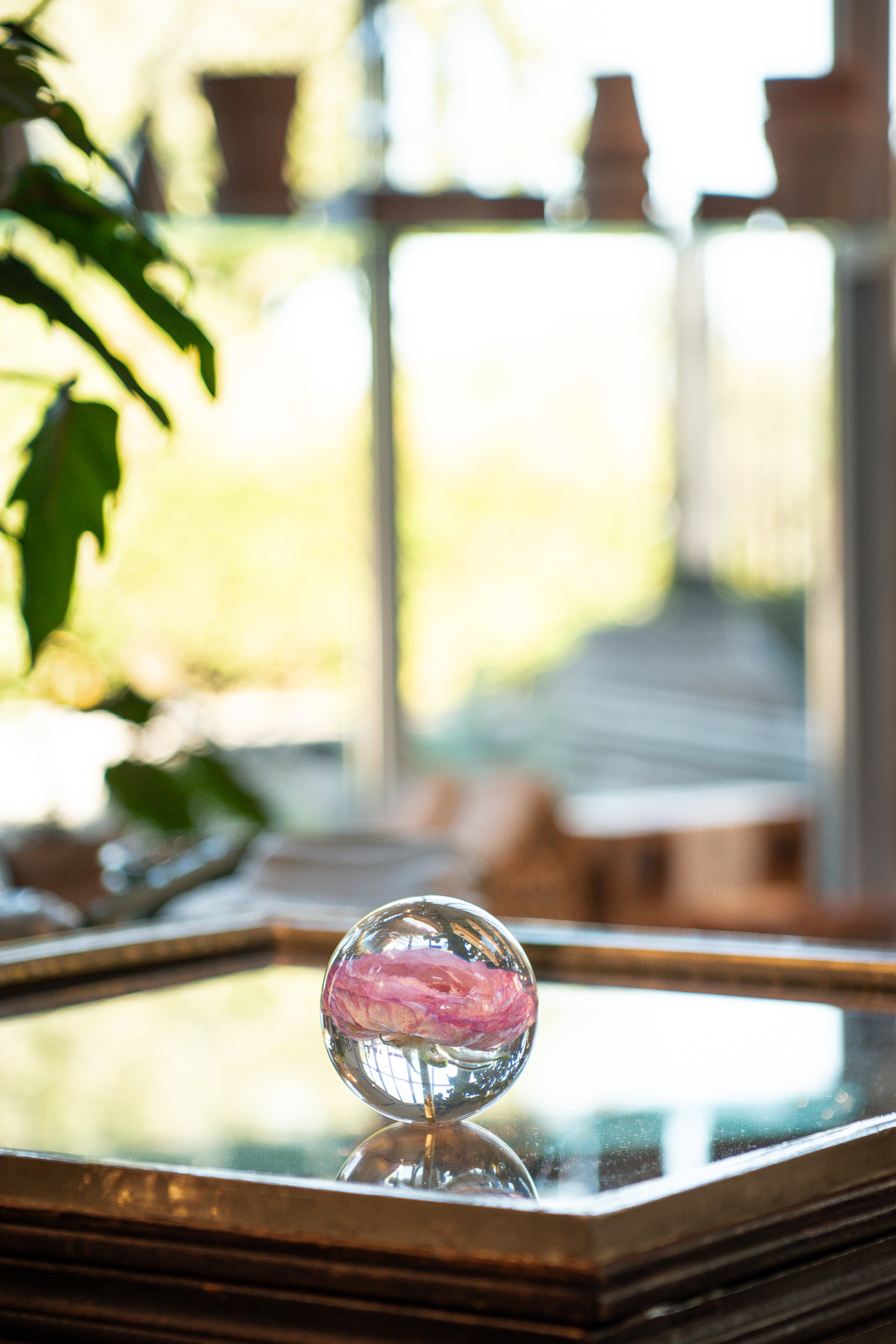 Pappersvikt Peony Rose 