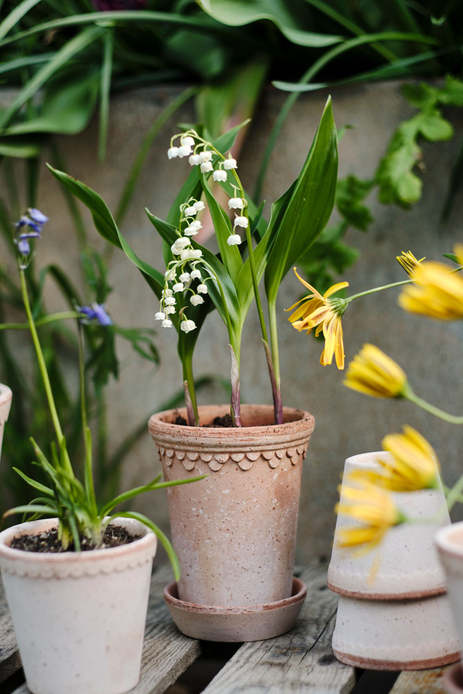 Köpenhamn Kruka Ø14 Rosa inkl Fat