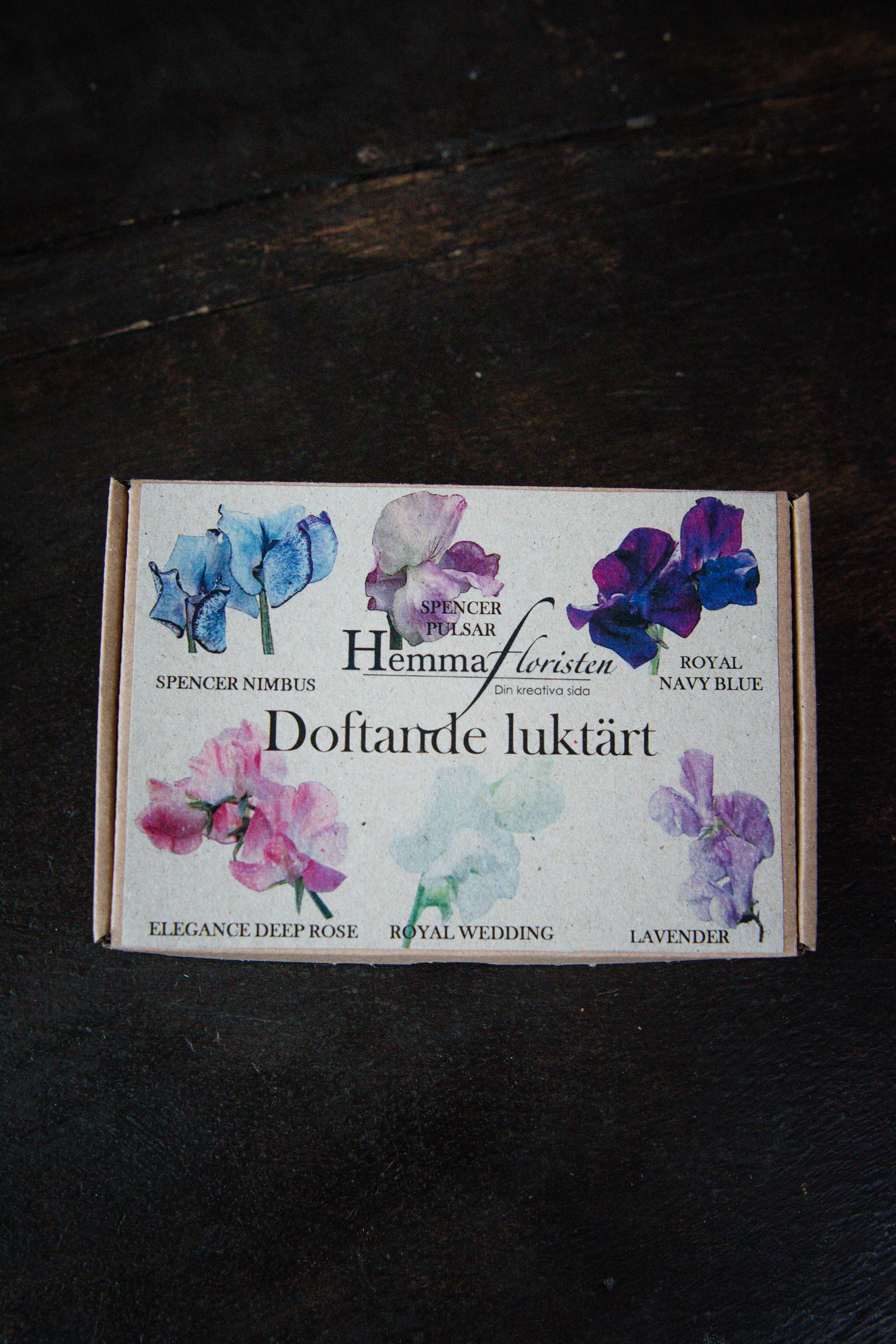 Fröbox Doftande Luktärt