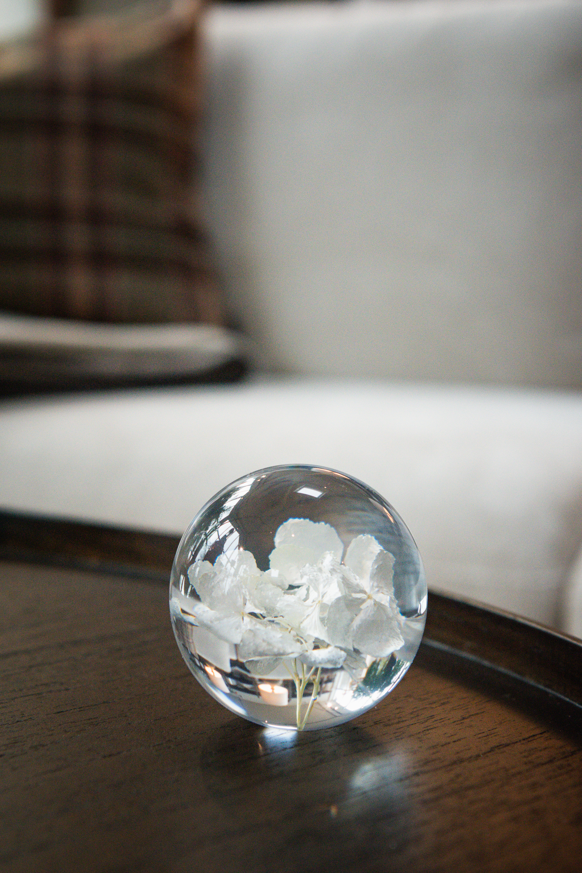 Pappersvikt Hydrangea White 2