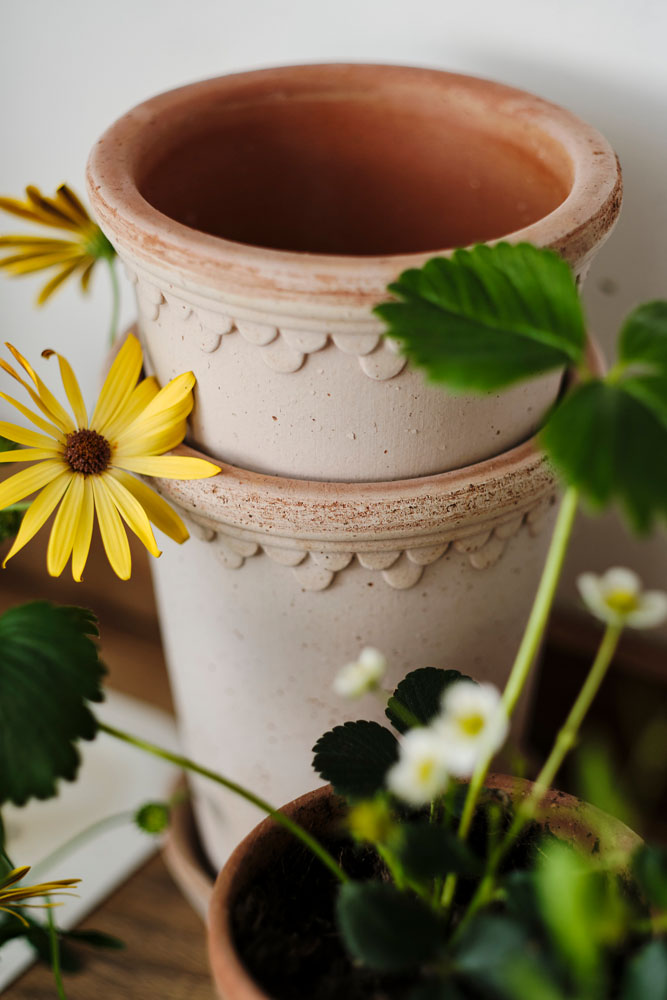 Köpenhamn Kruka Ø16 Rosa inkl Fat 1