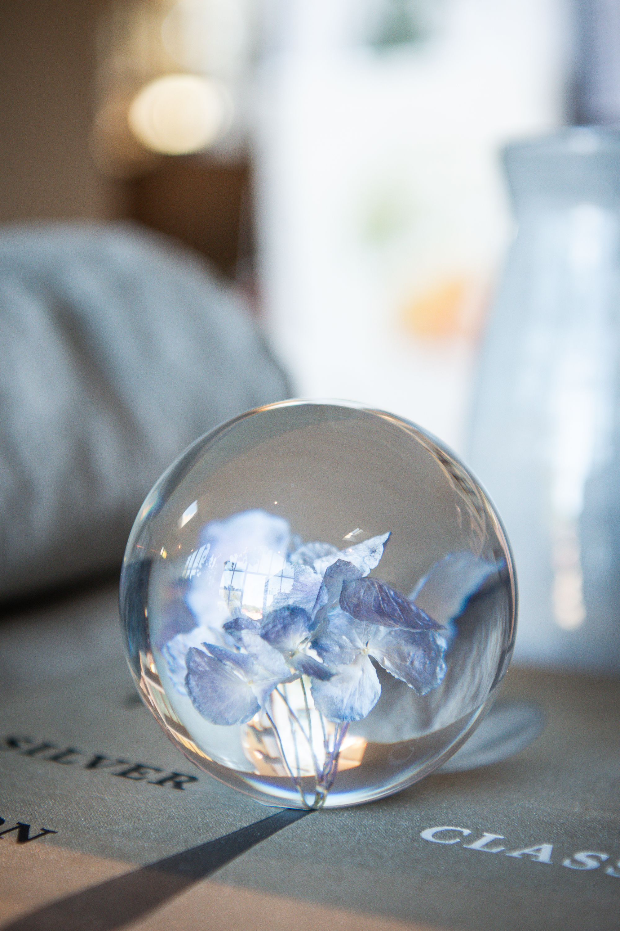 Pappersvikt Hydrangea Purple 