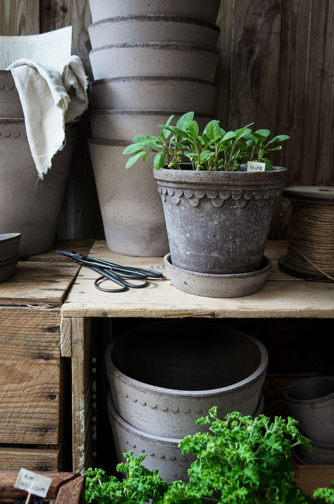 Köpenhamn Kruka Ø21 Grå inkl Fat