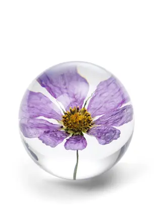 Pappersvikt Cosmos