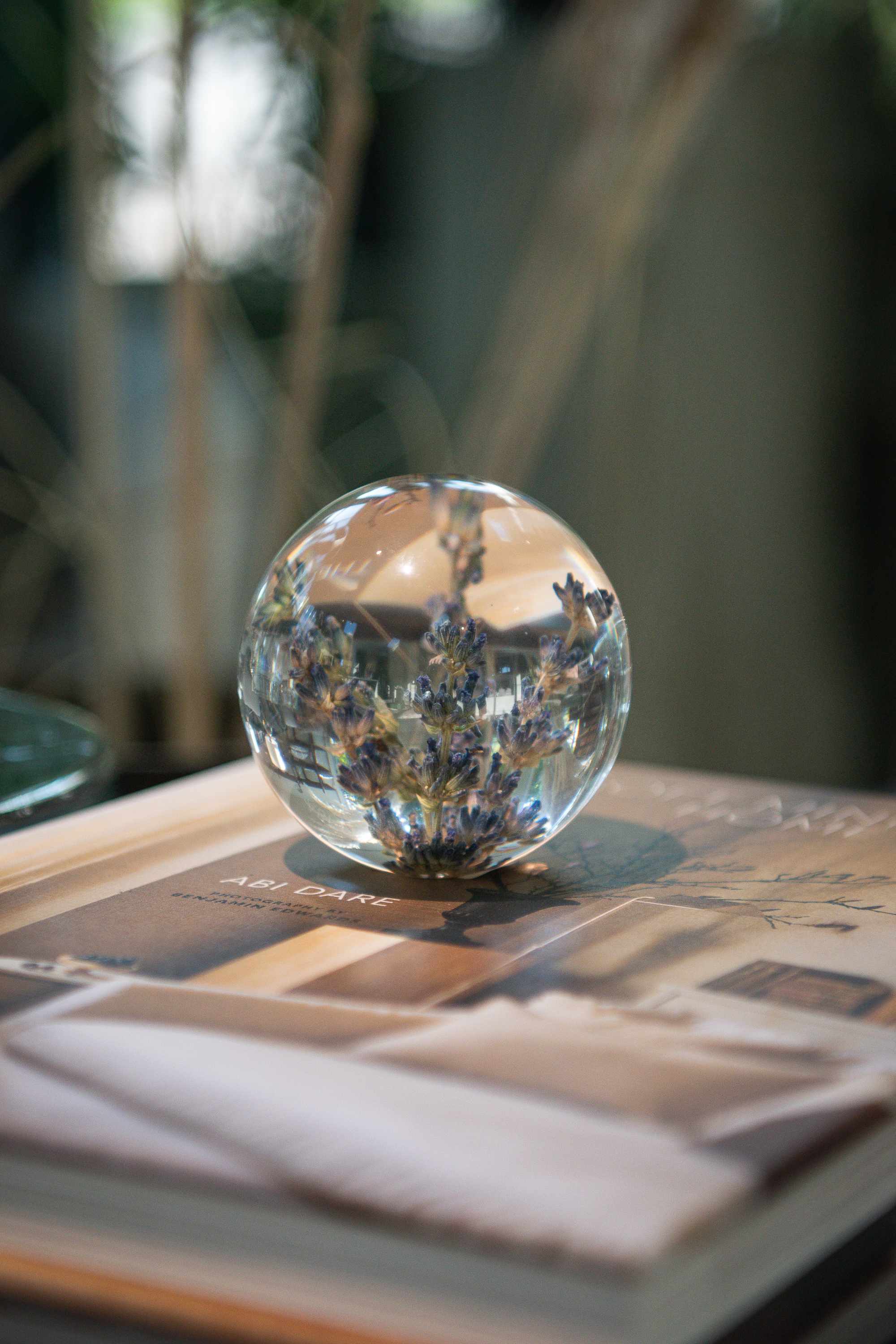 Pappersvikt Lavendel Purple 