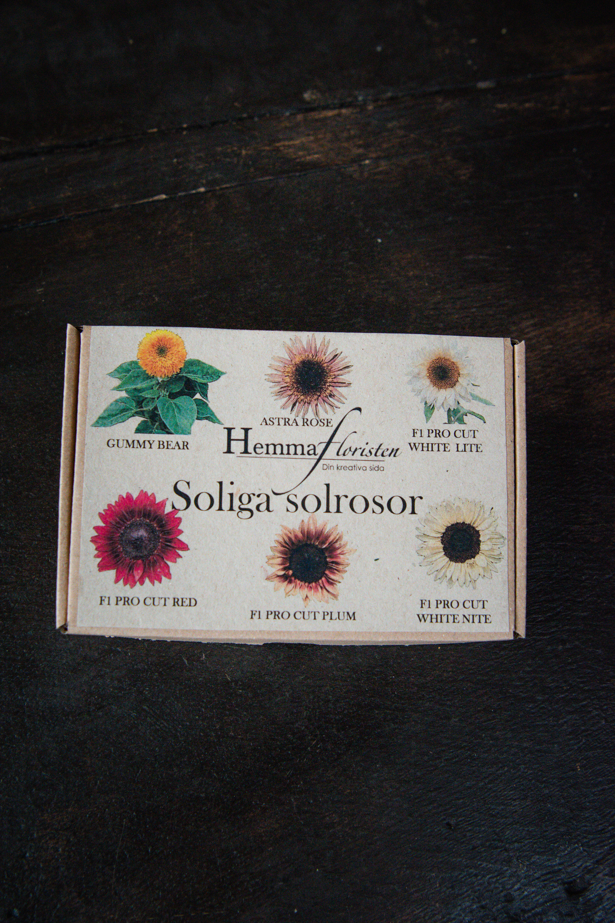 Fröbox Soliga Solrosor 