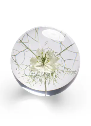 Pappersvikt Flor White
