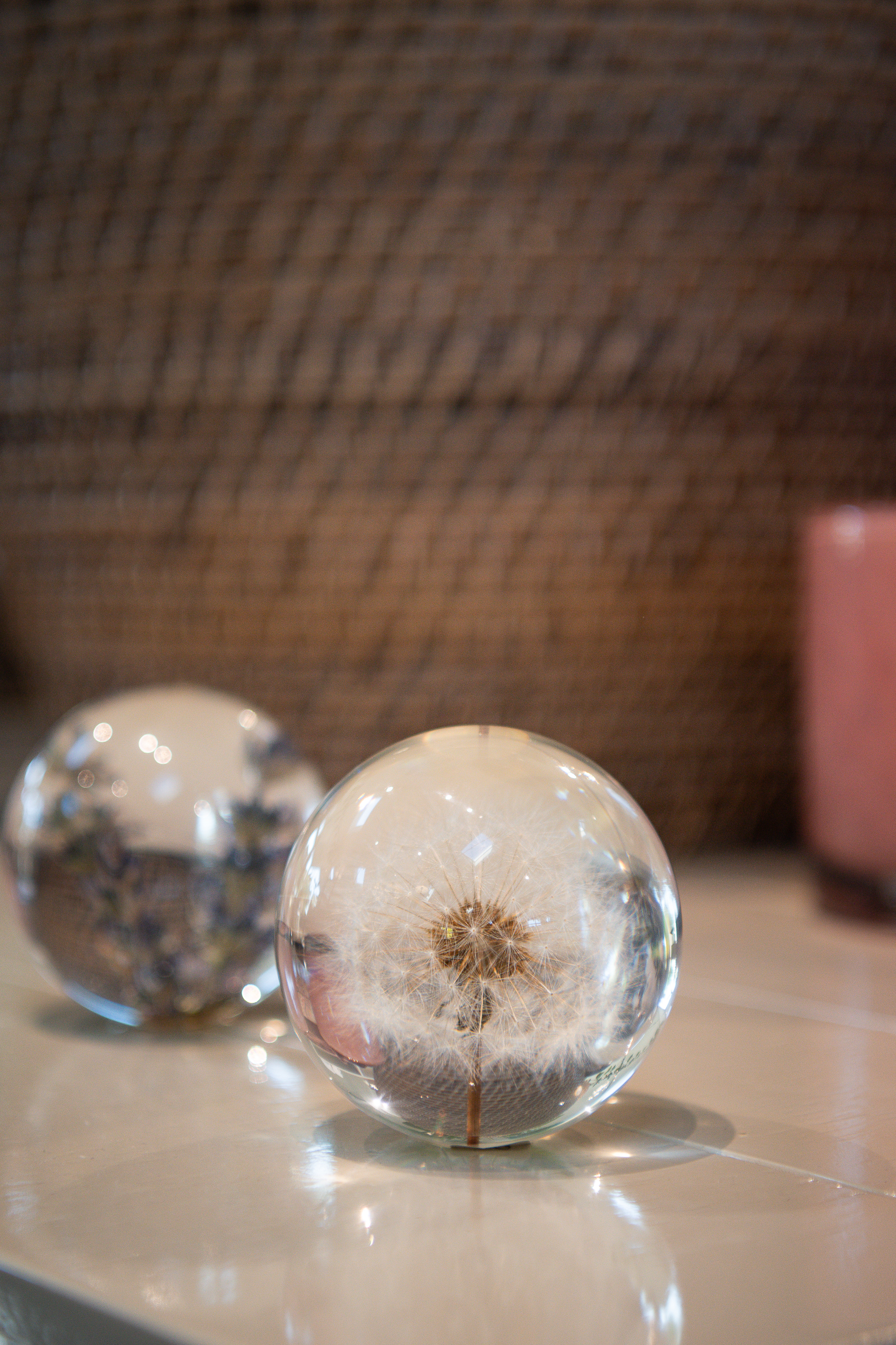 Pappersvikt Dandelion  2