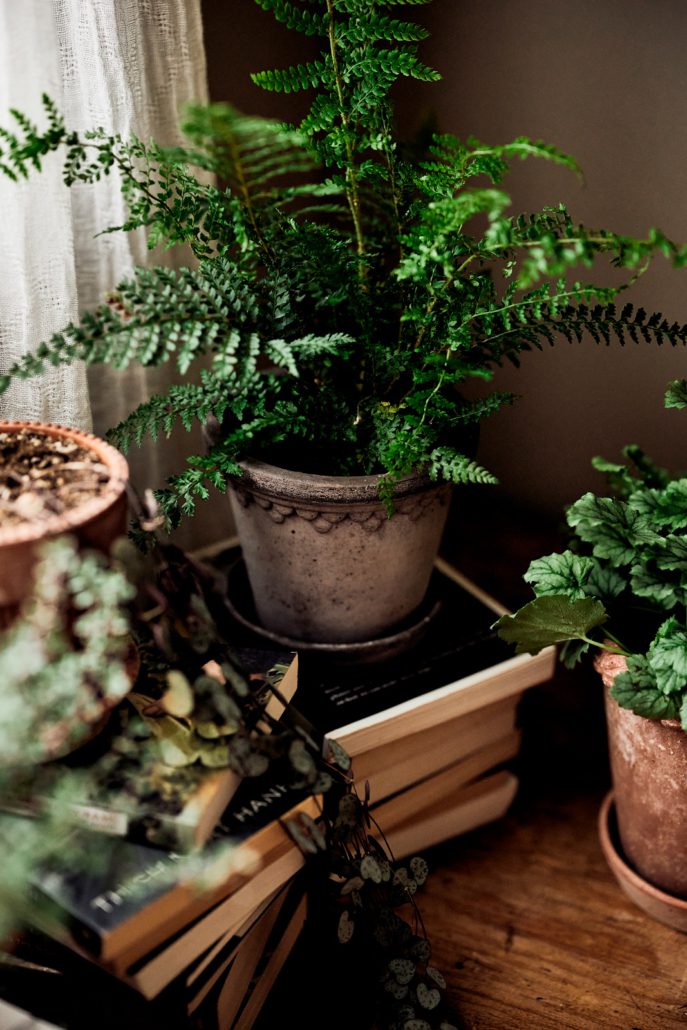 Köpenhamn Kruka Ø16 Grå inkl Fat