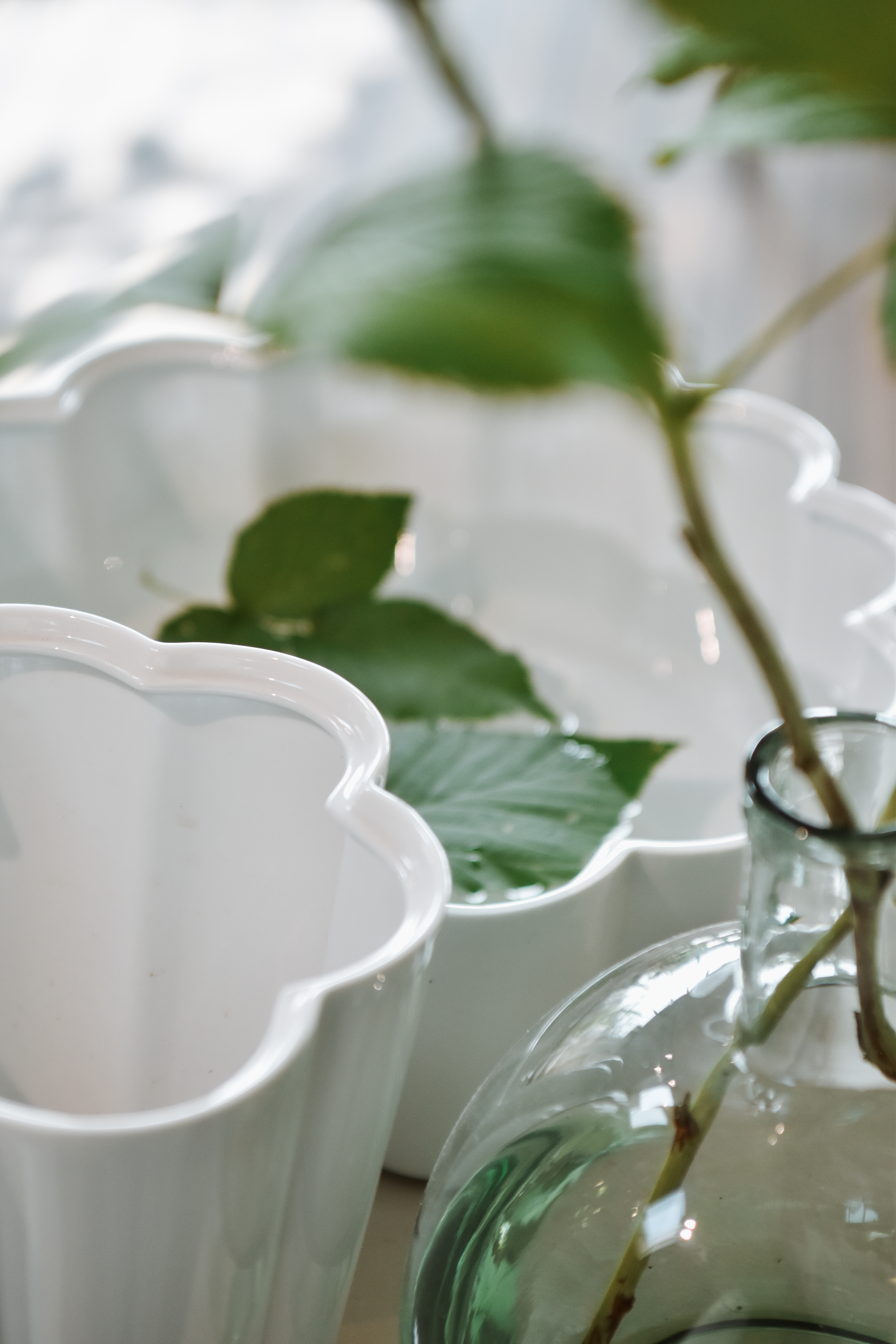 Norrvikenkruka Mellan 1