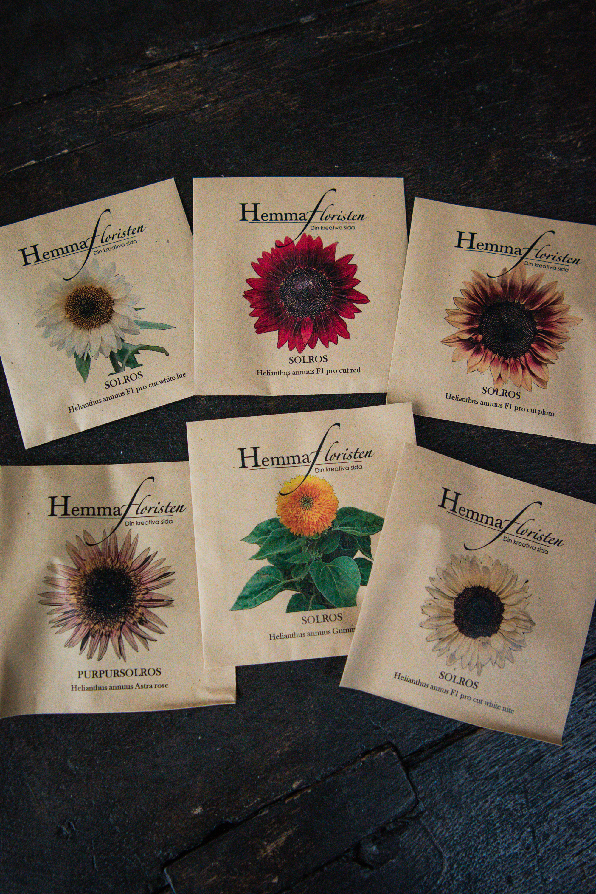 Fröbox Soliga Solrosor  1