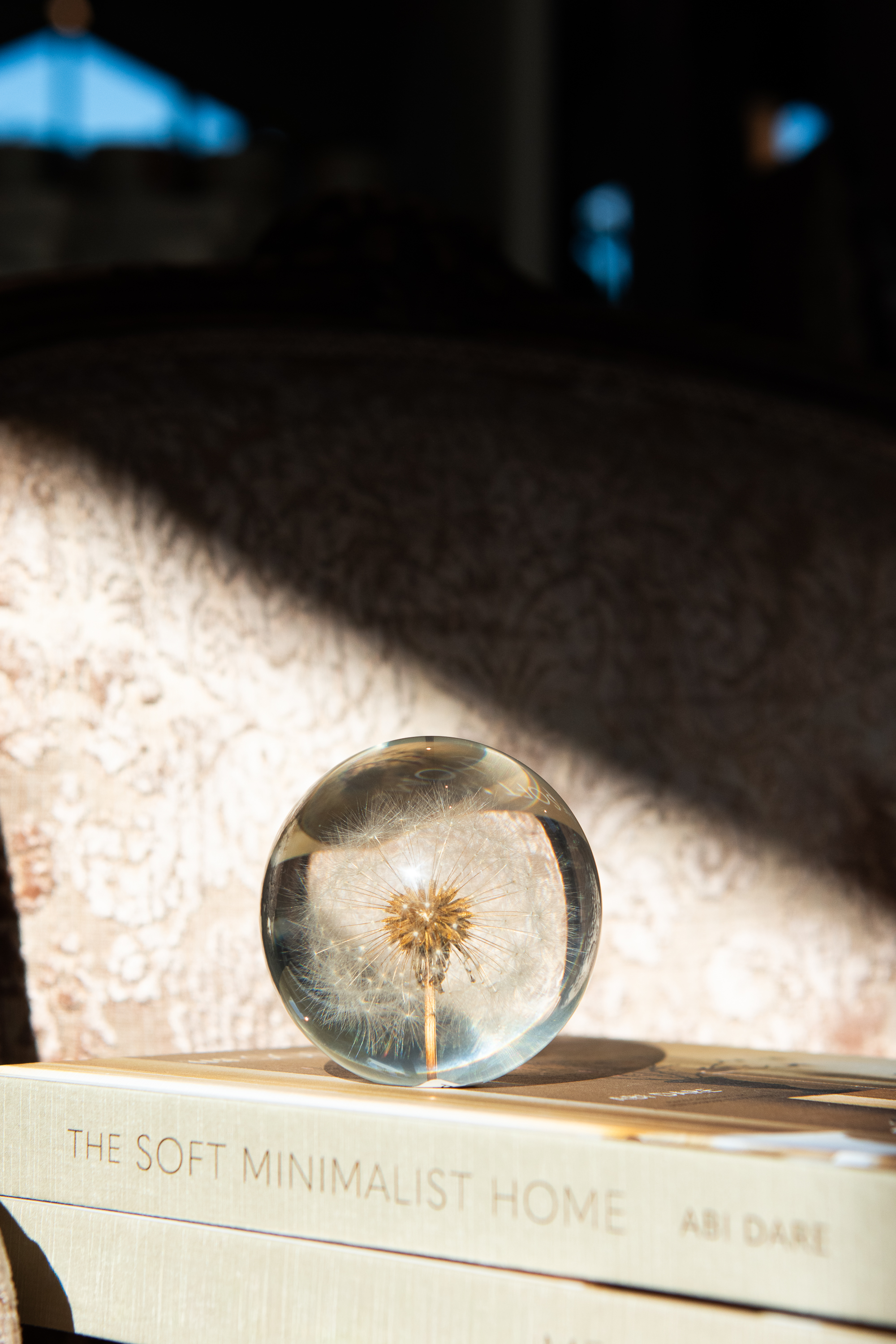 Pappersvikt Dandelion 