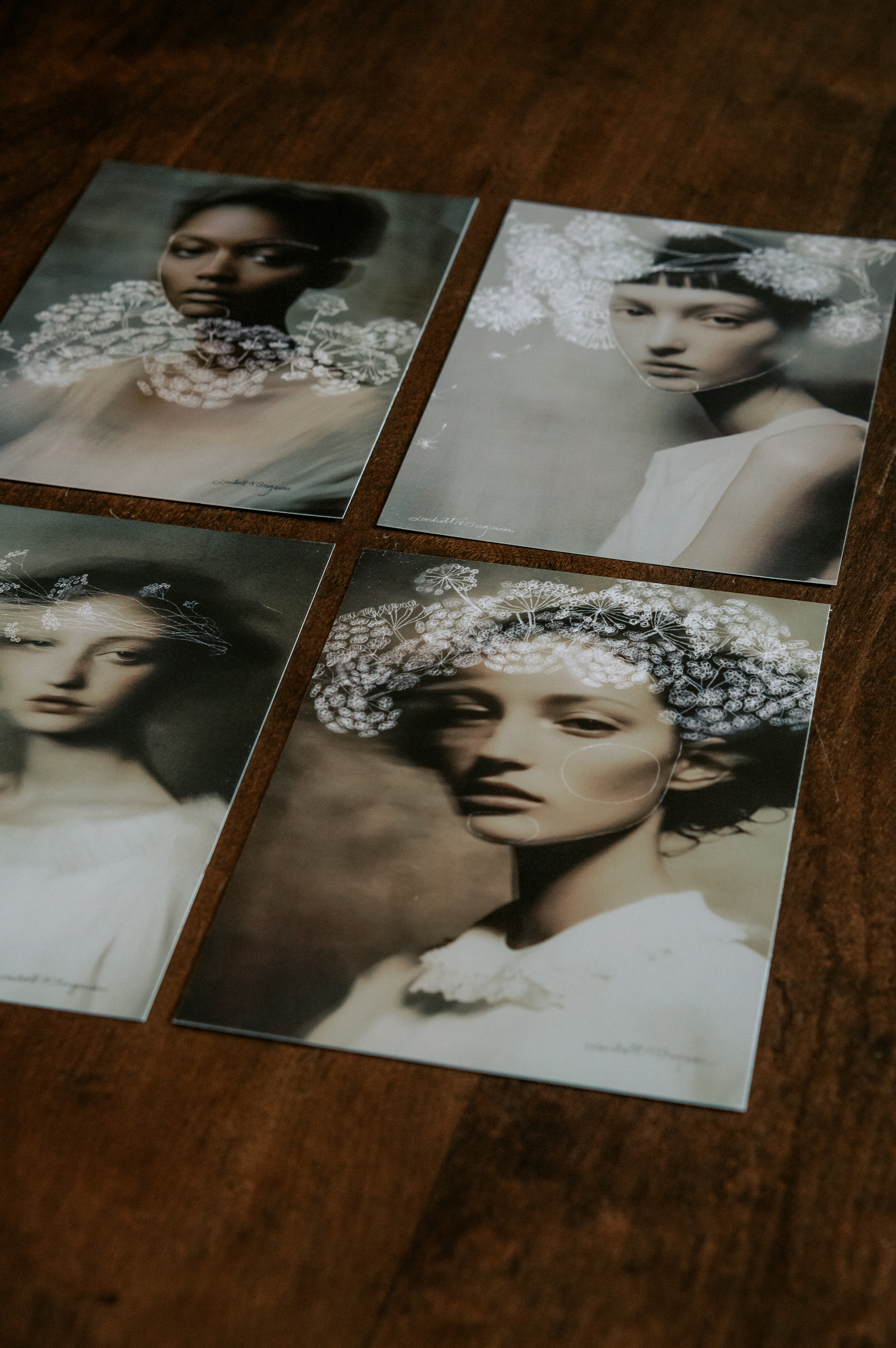 4-pack Kort Photosynthesis A5 1