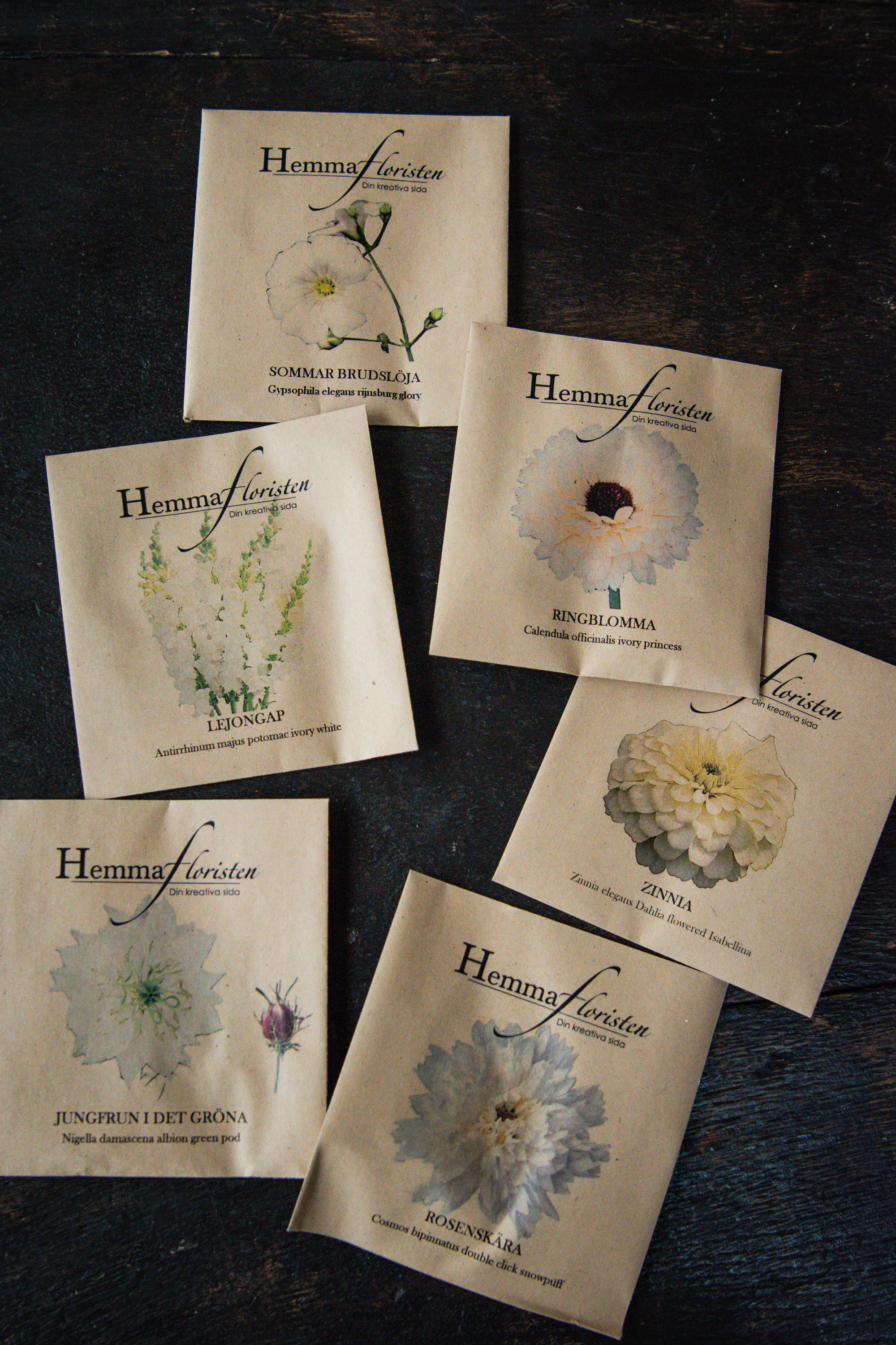 Fröbox Vackraste Vitt 1