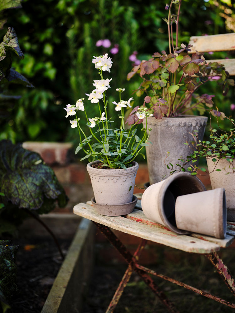 Köpenhamn Kruka Ø14 Grå inkl Fat